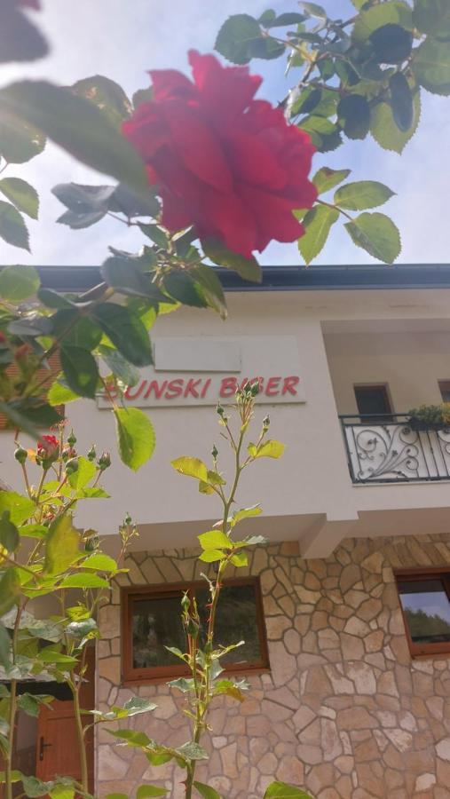 Villa Bunski Biser Blagaj Bagian luar foto